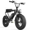 GT200 Off Road Mountain Electric Bike 20'' Fat tires 1200W Powerful Motor outdoor ebike