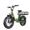 EMB001 Fat Tires cargo Electric Bike  1200W Powerful Motor