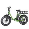 EMB001 Fat Tires cargo Electric Bike  1200W Powerful Motor