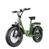 EMB001 Fat Tires cargo Electric Bike  1200W Powerful Motor