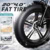 Adult Electric Bike 750W Motor 20"*4.0" All Terrain Fat Tire Ebike with Samsung 48V 12.8Ah Lithium Battery