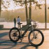 Trustmade Ebike