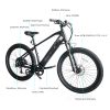 Trustmade Ebike